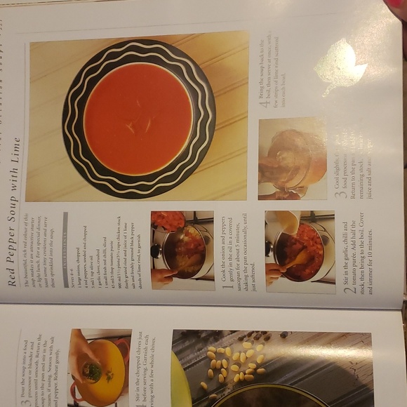 The Soup Bible - Picture 2 of 3